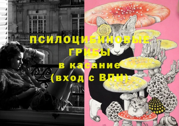 амф Аркадак