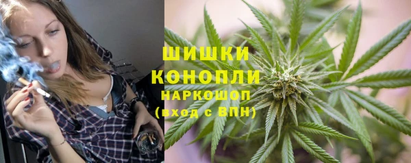 дживик Балахна